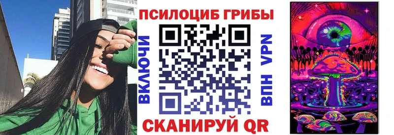 Купить где  Новочеркасск  Псилоцибиновые грибы мицелий